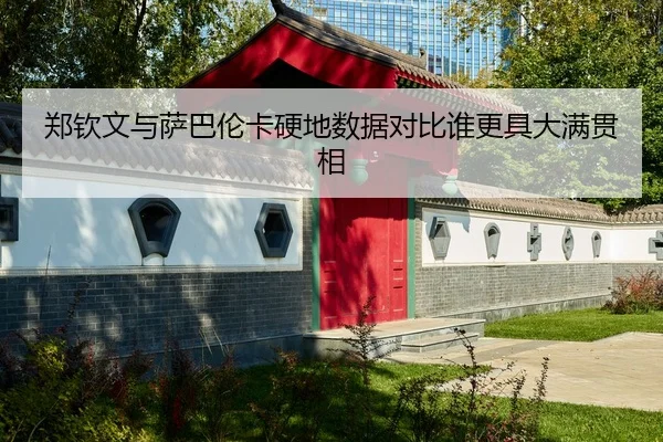郑钦文与萨巴伦卡硬地数据对比谁更具大满贯相